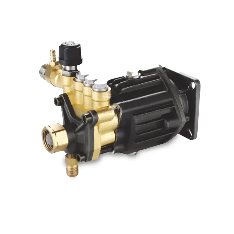 Raptor Rgpwdaa-15063A Axial-Cam High-Pressure Pump — 2800 Psi, 11.3 Lpm, 6.5 Hp 1