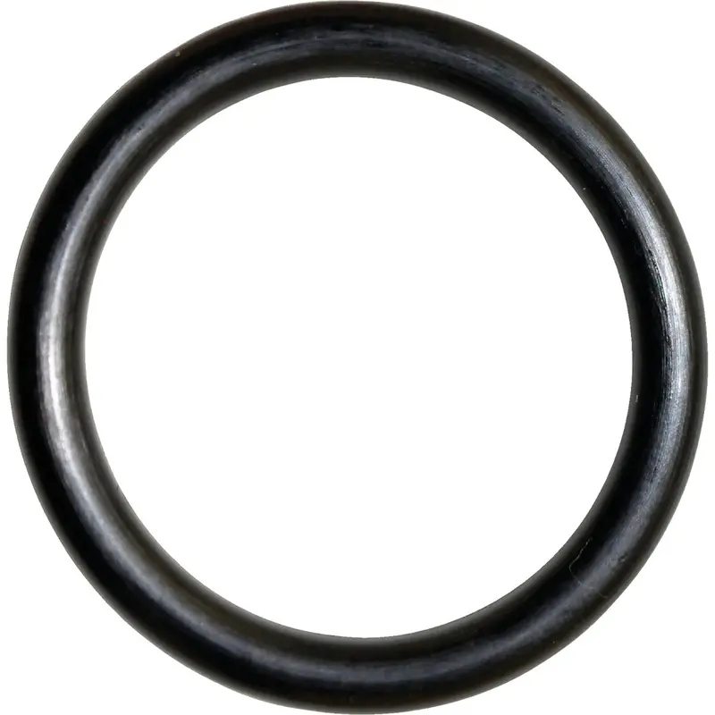 Danco Buna-N O-Ring – #19 Size, 1" × 1-1/4" Industrial Grade Seal 1