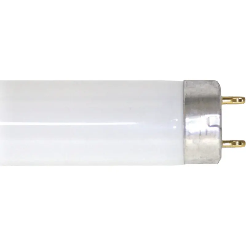 Philips T8 Fluorescent Lamp – 30W, 36" Cool White, Medium Bi-Pin Base 1