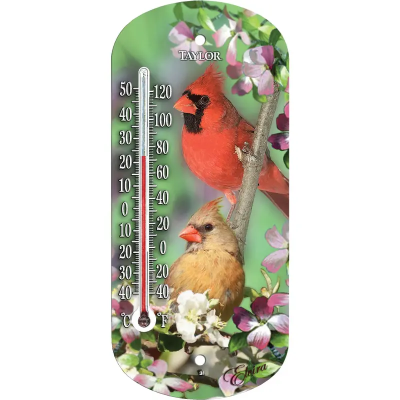 Taylor Outdoor Window Thermometer – 8-Inch Analog Display 1